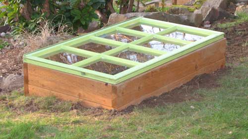 Cold frames and hot crops