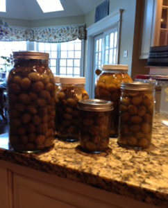 What the heck am I going to do with all these olives?
